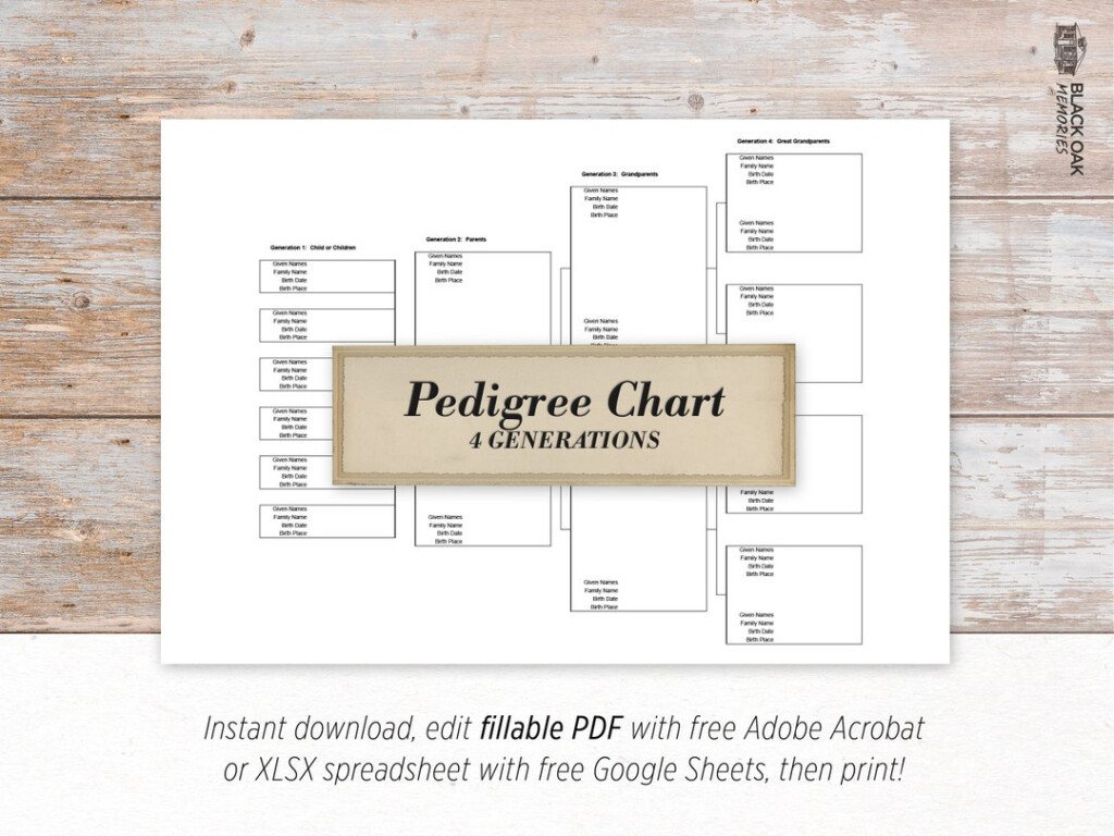 Family Tree Pedigree Chart 4 Generations Digital Printable 