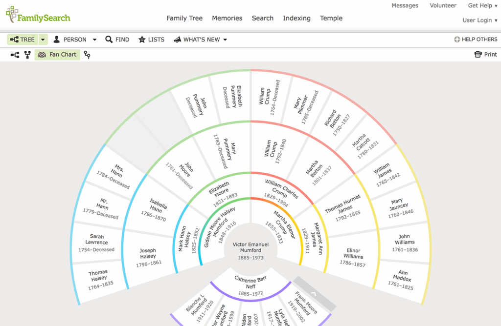Familysearch Family Tree Chart Family Tree Views On Familysearch 