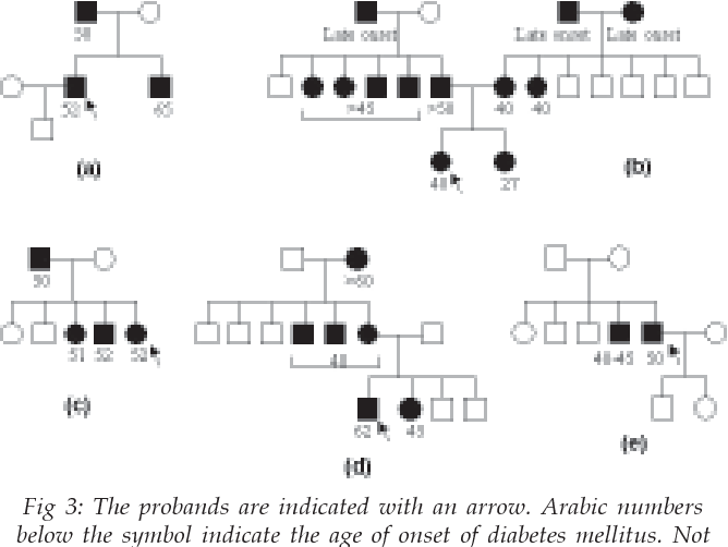 Figure 3 From Study Of Inheritance Of Diabetes Mellitus In Western 
