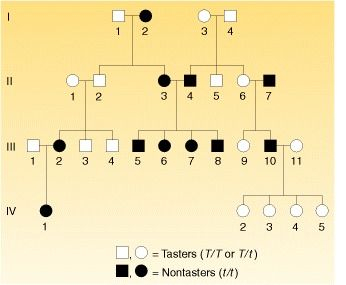 Figure 4 23 Pedigree For The Ability To Taste The Chemical PTC 