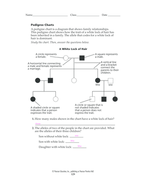 Fillable Online BPedigree Chartsb A Bpedigree Chartb Is A Diagram That 