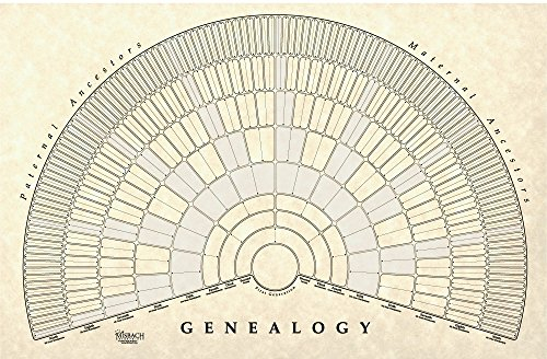 Find The Best 15 Generation Fan Chart Reviews Comparison Katynel
