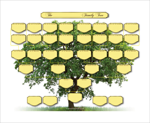 Five Generation Family Tree Template 13 Free Word Excel PDF Format 