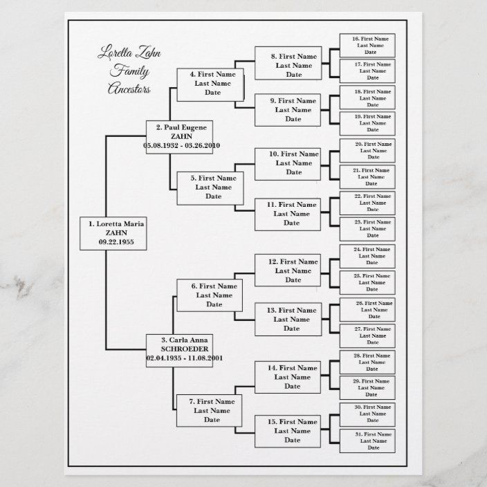 Five Generation Genealogy Chart Zazzle Genealogy Chart Fifth 