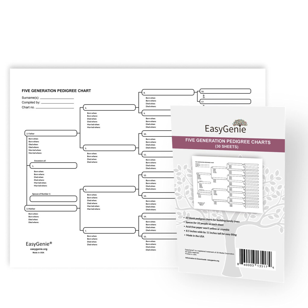 Five Generation Pedigree Charts 30 Acid Free Sheets By 11 Inches By 