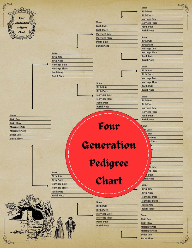 Four Generation Pedigree Chart Printable Editable PDF Etsy Canada 