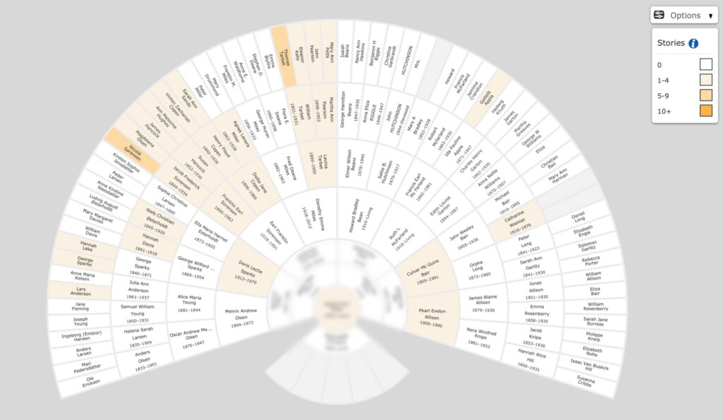 Free Genealogy Fan Chart Print Family Tree Template FamilySearch
