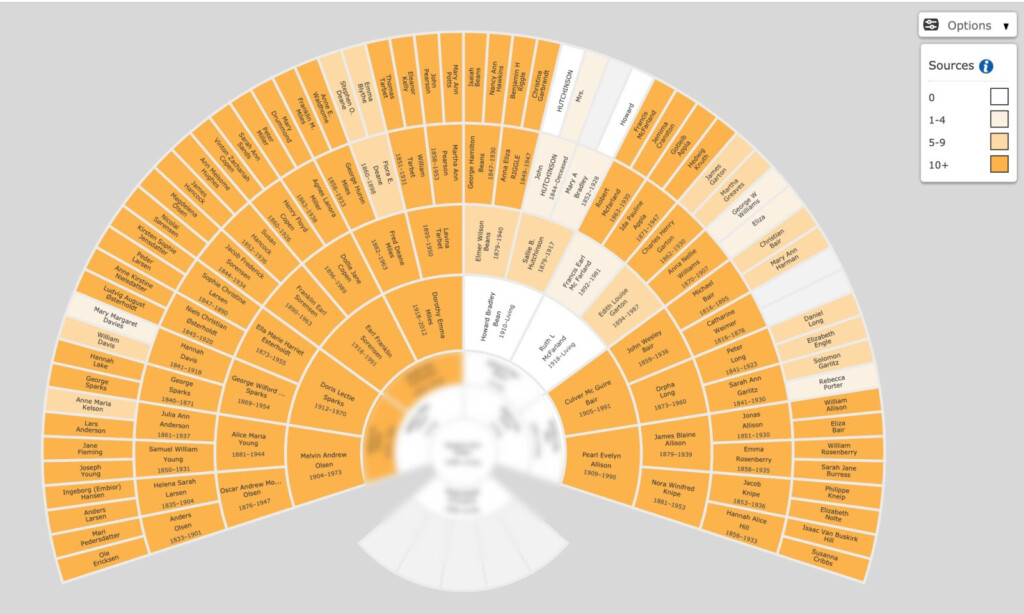 Free Genealogy Fan Chart Print Family Tree Template FamilySearch