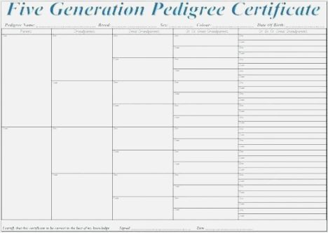Free Pedigree Chart Maker Five Generation Dog Pedigree Chart Template 
