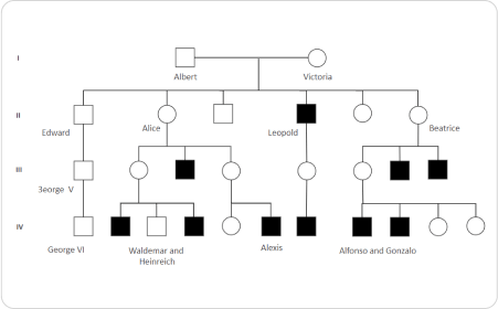 Free Pedigree Chart Maker With Free Templates EdrawMax