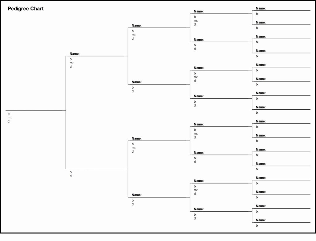 Free Pedigree Chart Template Fresh Free Pedigree Chart 5 Generation 