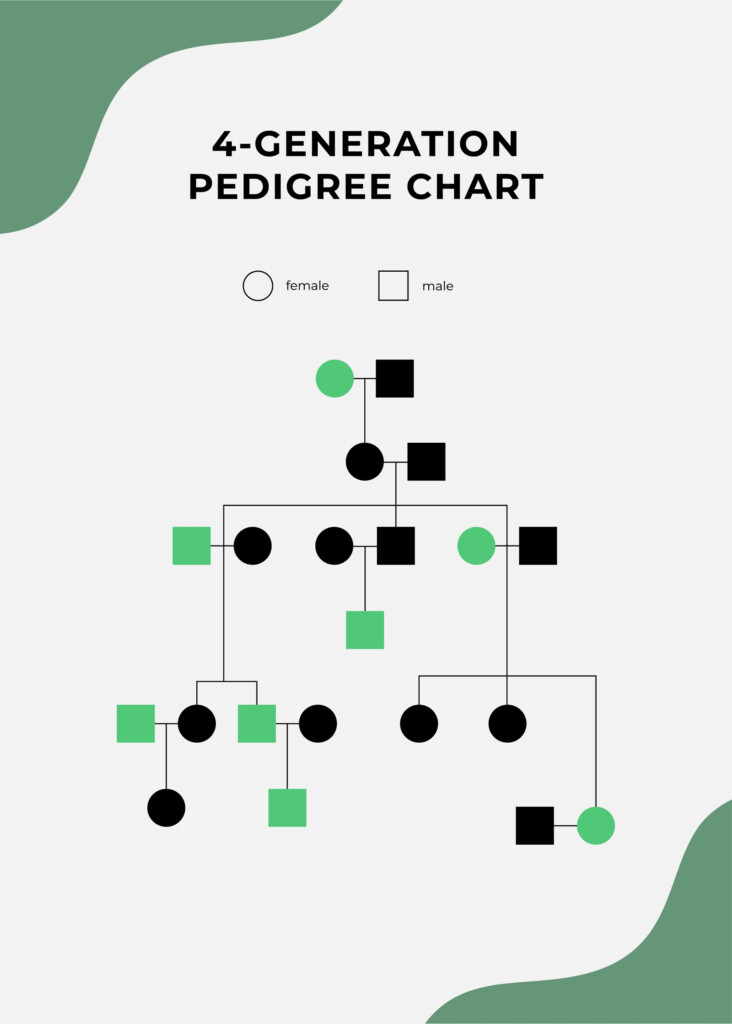 Free Pedigree Chart Templates Editable And Printable
