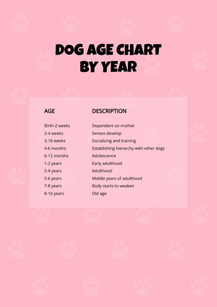 Free Pedigree Chart Templates Editable And Printable