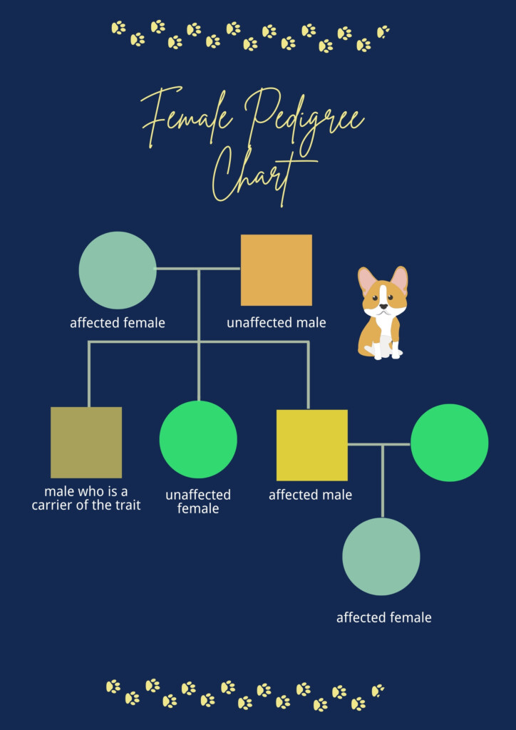 Free Pedigree Chart Templates Editable And Printable
