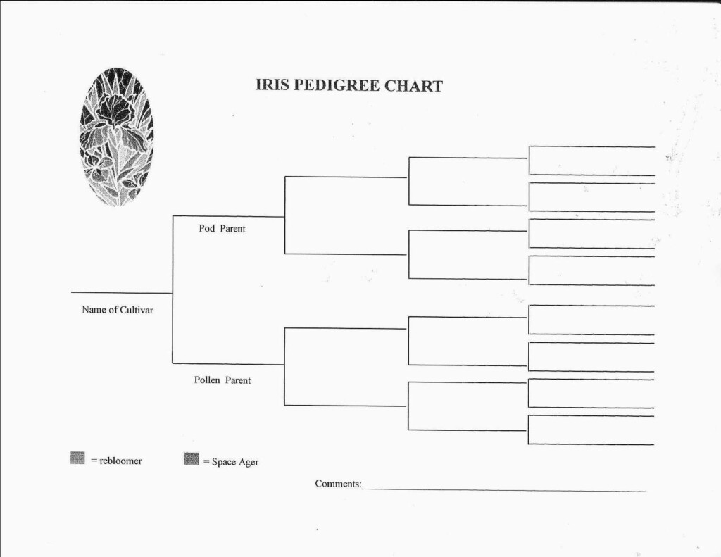 Free Printable Dog Pedigree Template Printable Templates