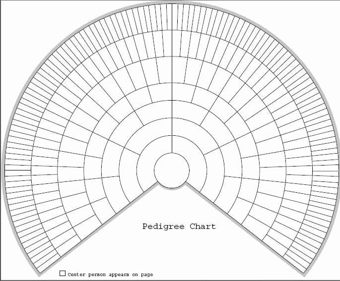 Free Printable Genealogy Fan Chart Template Danny J Zacharias