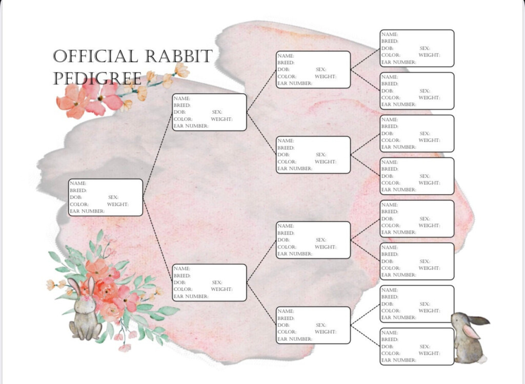 Free Printable Rabbit Pedigree