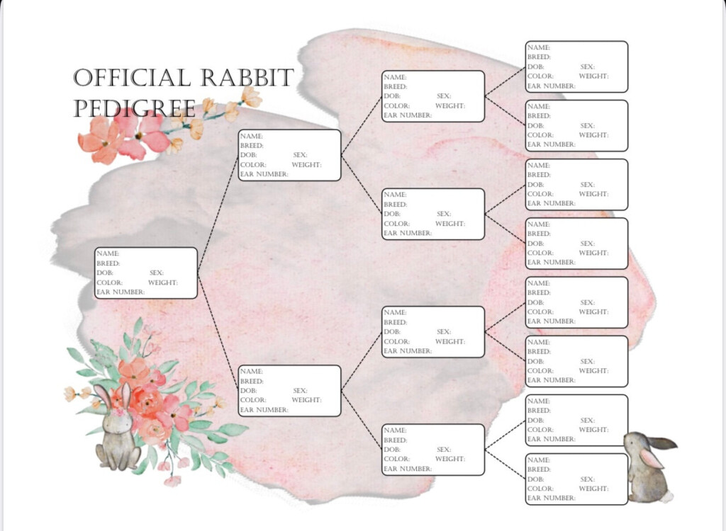 Free Printable Rabbit Pedigree
