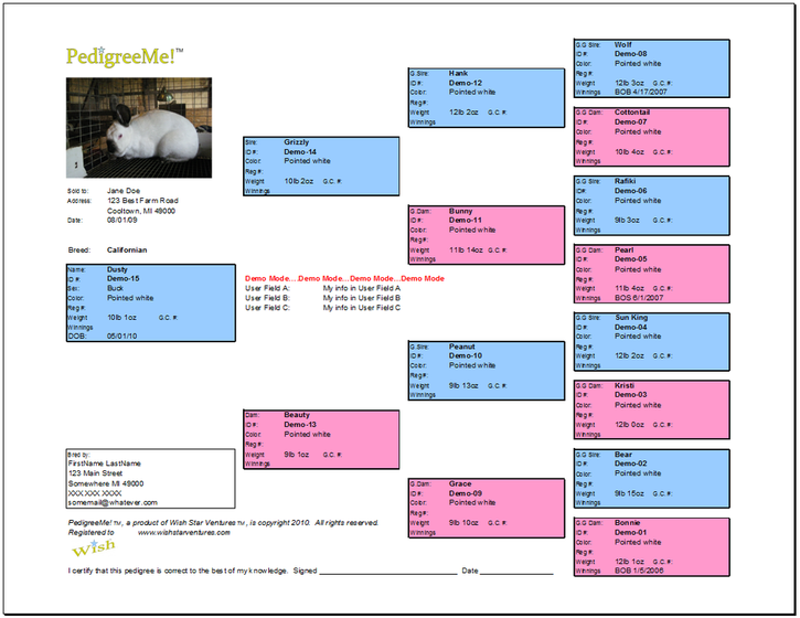 Free Printable Rabbit Pedigree Template Printable Templates