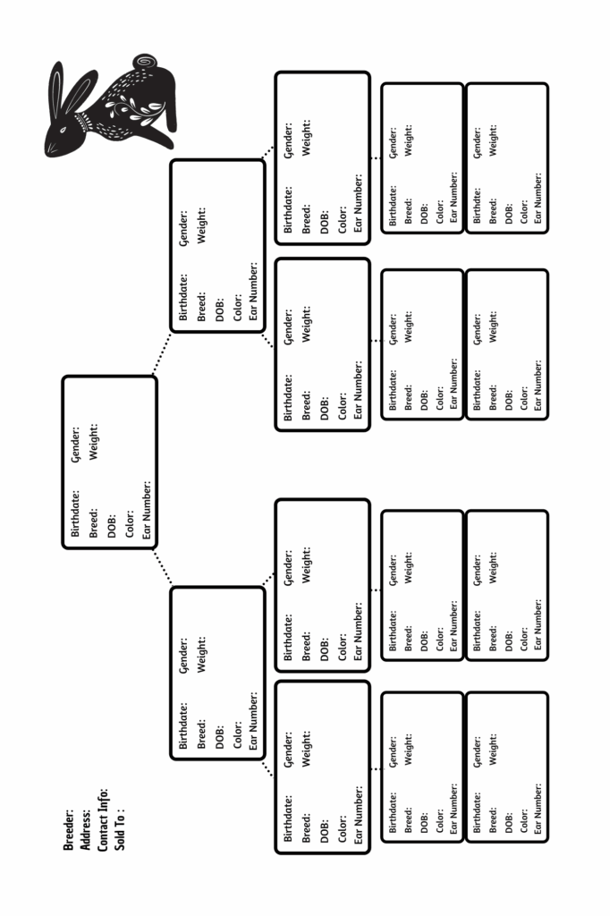 Free Printable Rabbit Pedigree Template Printable Templates