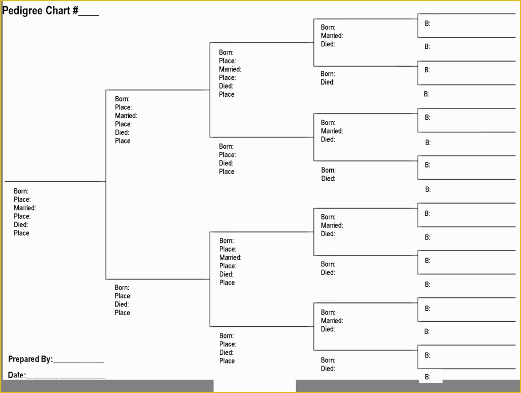 Free Rabbit Pedigree Template Of Rabbit Pedigree Blank Chart Rabbits 