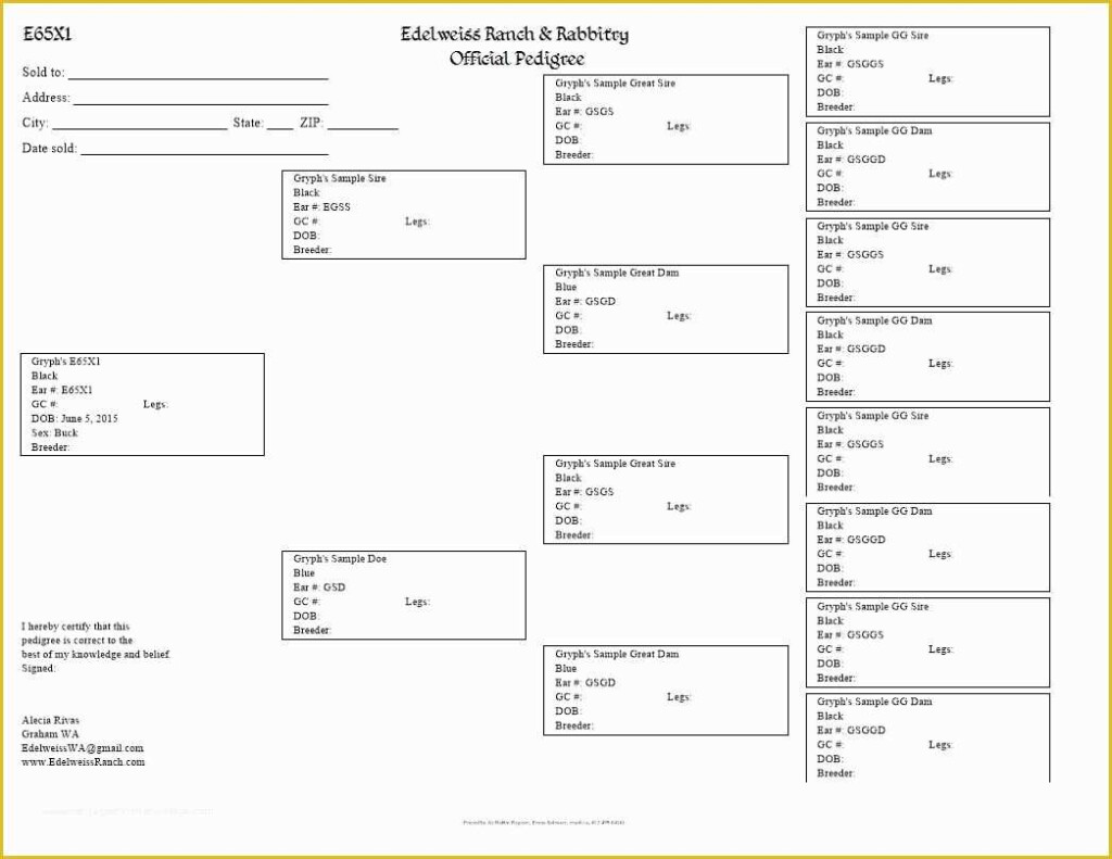 Free Rabbit Pedigree Template Of Rabbit Pedigree Blank Chart Rabbits 