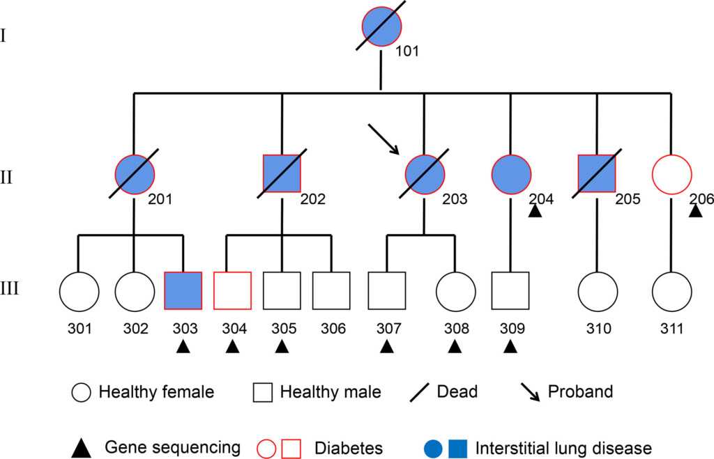 Frontiers Clinical Characteristics And Genetic Analysis Of A Chinese 