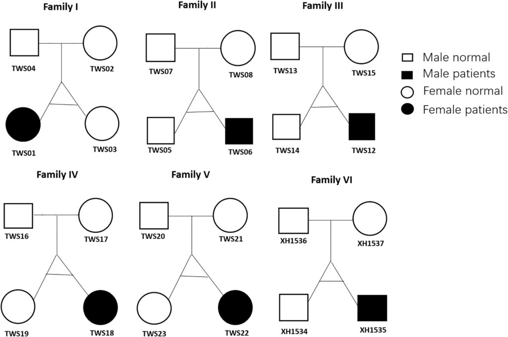 Frontiers Whole Exome Sequencing Of Discordant Monozygotic Twin 