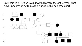 Fun Pedigree Chart Warm Ups By BattigBiology TPT