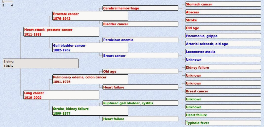 Genea Musings My Cause Of Death Pedigree Chart
