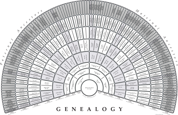 Genealogy Charts TreeSeek