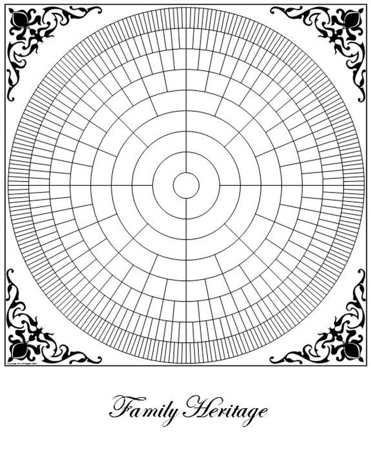 Genealogy Circle Chart Blank 16 X 20 Etsy In 2020 Ancestry Circle 