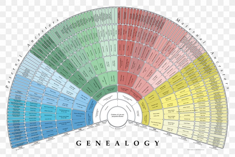 Genealogy Family Tree Pedigree Chart FamilySearch Ancestor PNG 