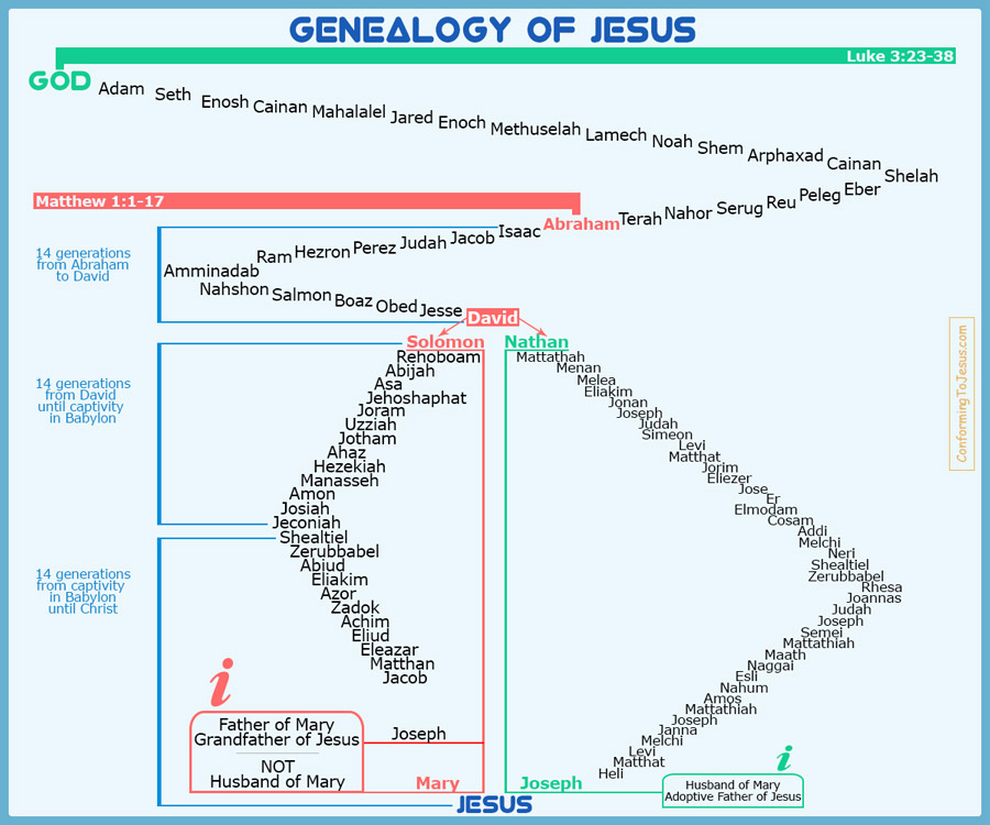 Genealogy Of Jesus Chart Jesus 39 Family Tree Chart