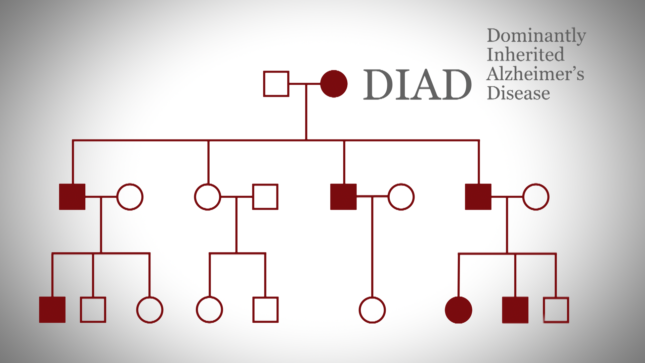 Genetic Counseling And Testing The Dominantly Inherited Alzheimer Network