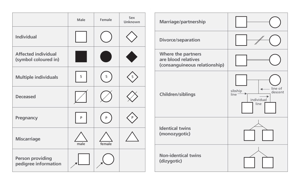 Genetic Pedigree Chart Template