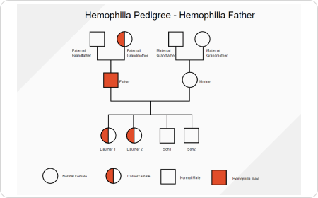 Genetic Pedigree Chart Template