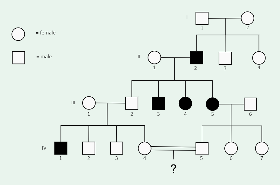 Genetic Pedigree Chart Template