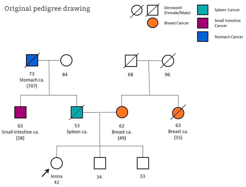 Genetic Pedigree Charts