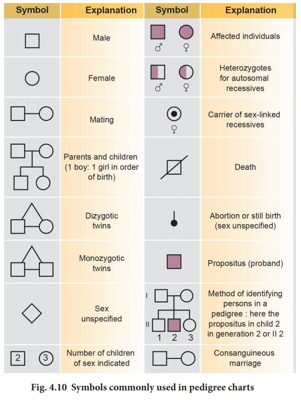 Genetic Pedigree Symbols