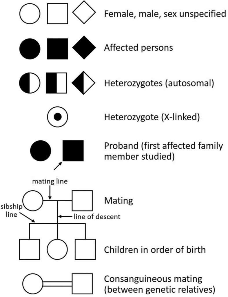 Genetic Pedigree Symbols