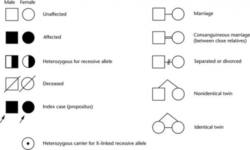 Genetic Pedigree Symbols
