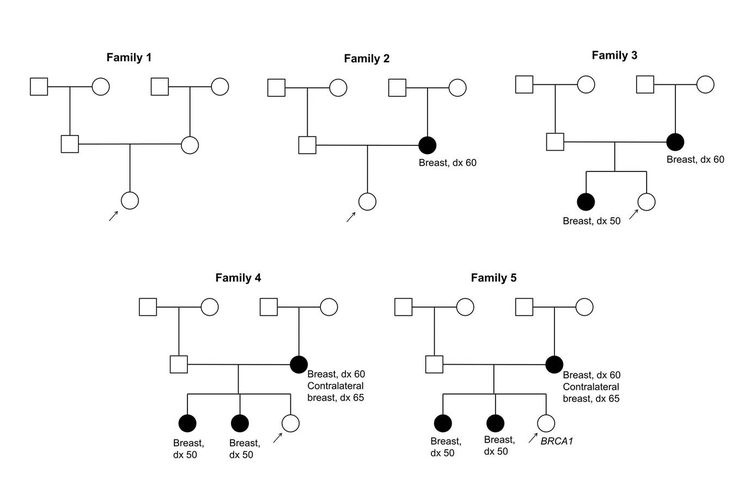 Genetics Of Breast And Gynecologic Cancers PDQ NCI