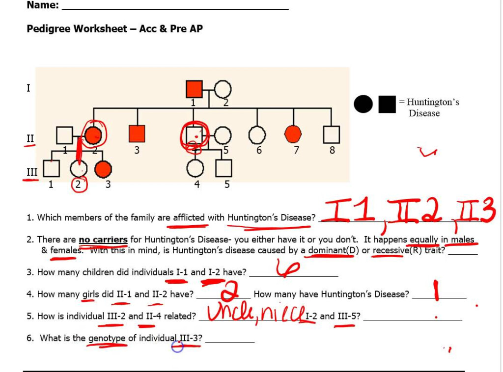 Genetics Pedigree Worksheet Answer Key Huntington S Disease Free 