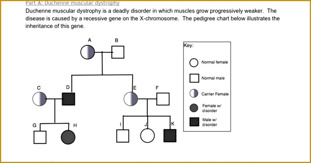 Genetics Pedigree Worksheet Answers Englishworksheet my id