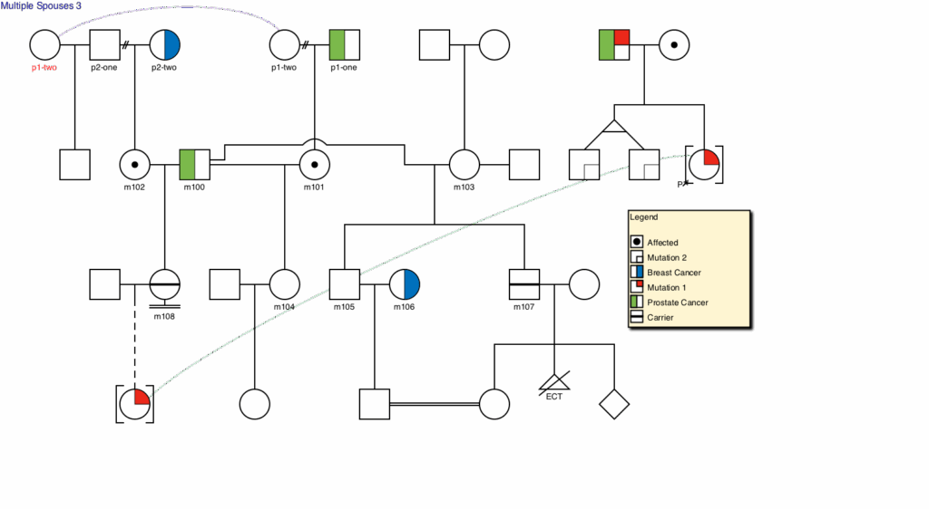 Genial Pedigree Draw Pedigree Drawing Software Genetic Pedigree 