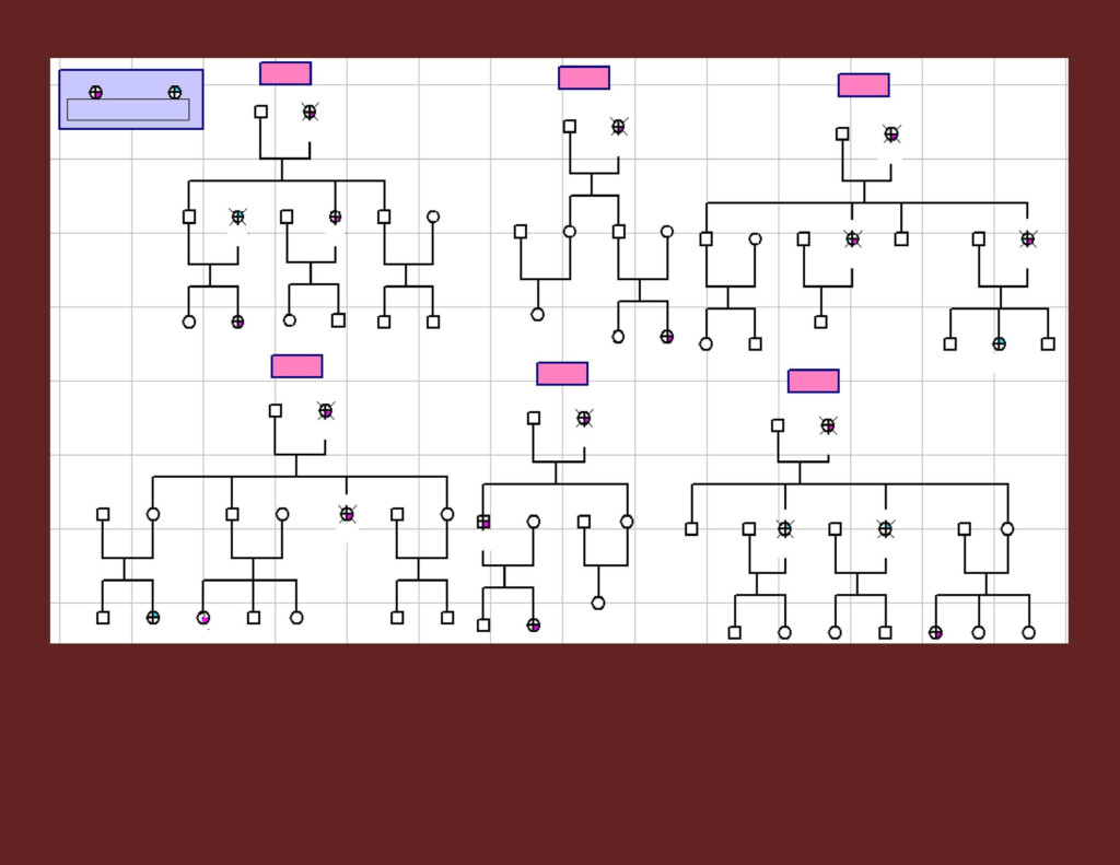 Genogram Template