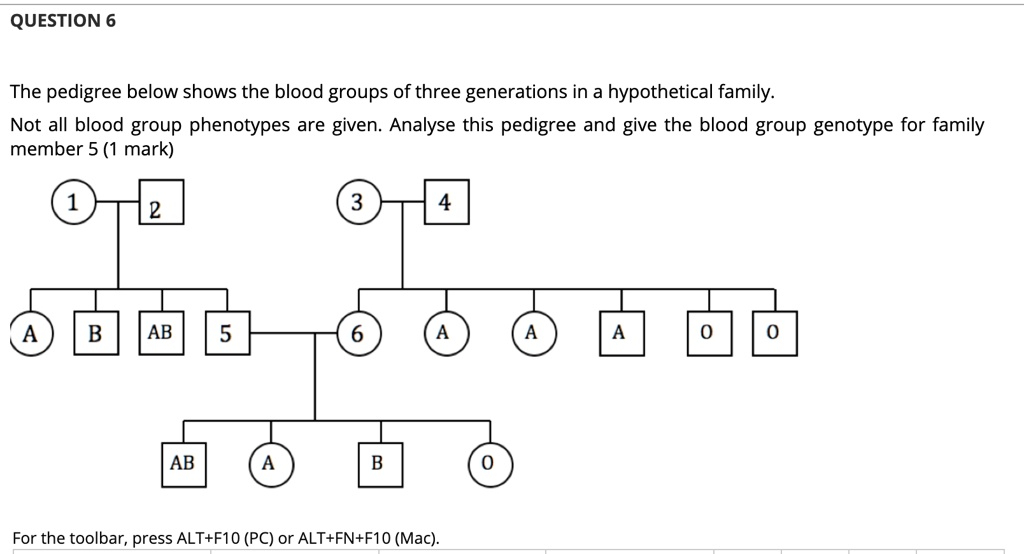  GET ANSWER Question 6 The Pedigree Below Shows The Blood Groups Of 