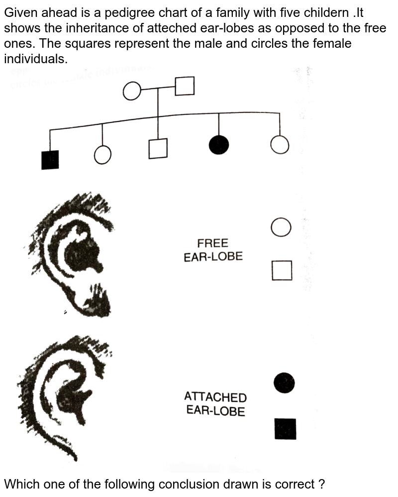 Given Below Is A Pedigree Chart Of A Family With Five Children I