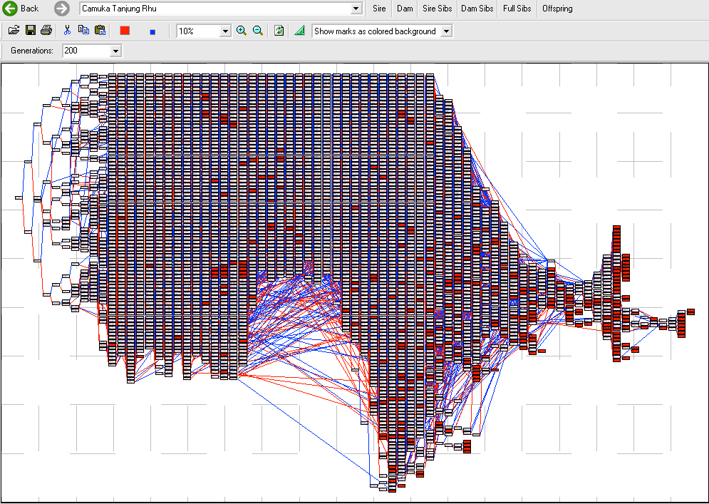 Golden Retriever Pedigree Charts The Institute Of Canine Biology